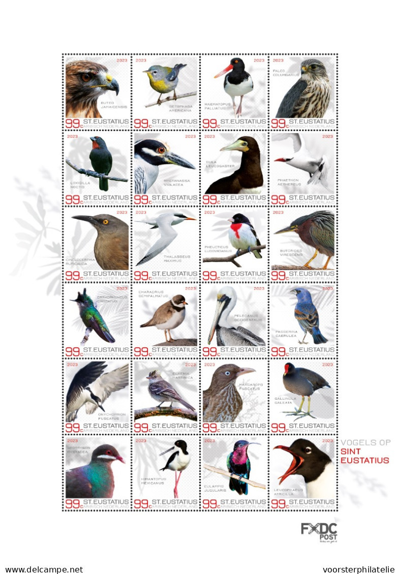 CARIBISCH NEDERLAND BONAIRE, SABA, ST. EUSTATIUS 2023 BIRDS OISEAUX VOGELS  ++ MNH POSTFRIS ++ - Curaçao, Antille Olandesi, Aruba