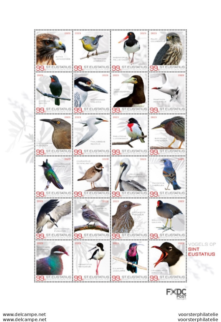 CARIBISCH NEDERLAND ST EUSTATIUS 2023 BIRDS OISEAUX VOGELS  ++ MNH POSTFRIS - Curazao, Antillas Holandesas, Aruba