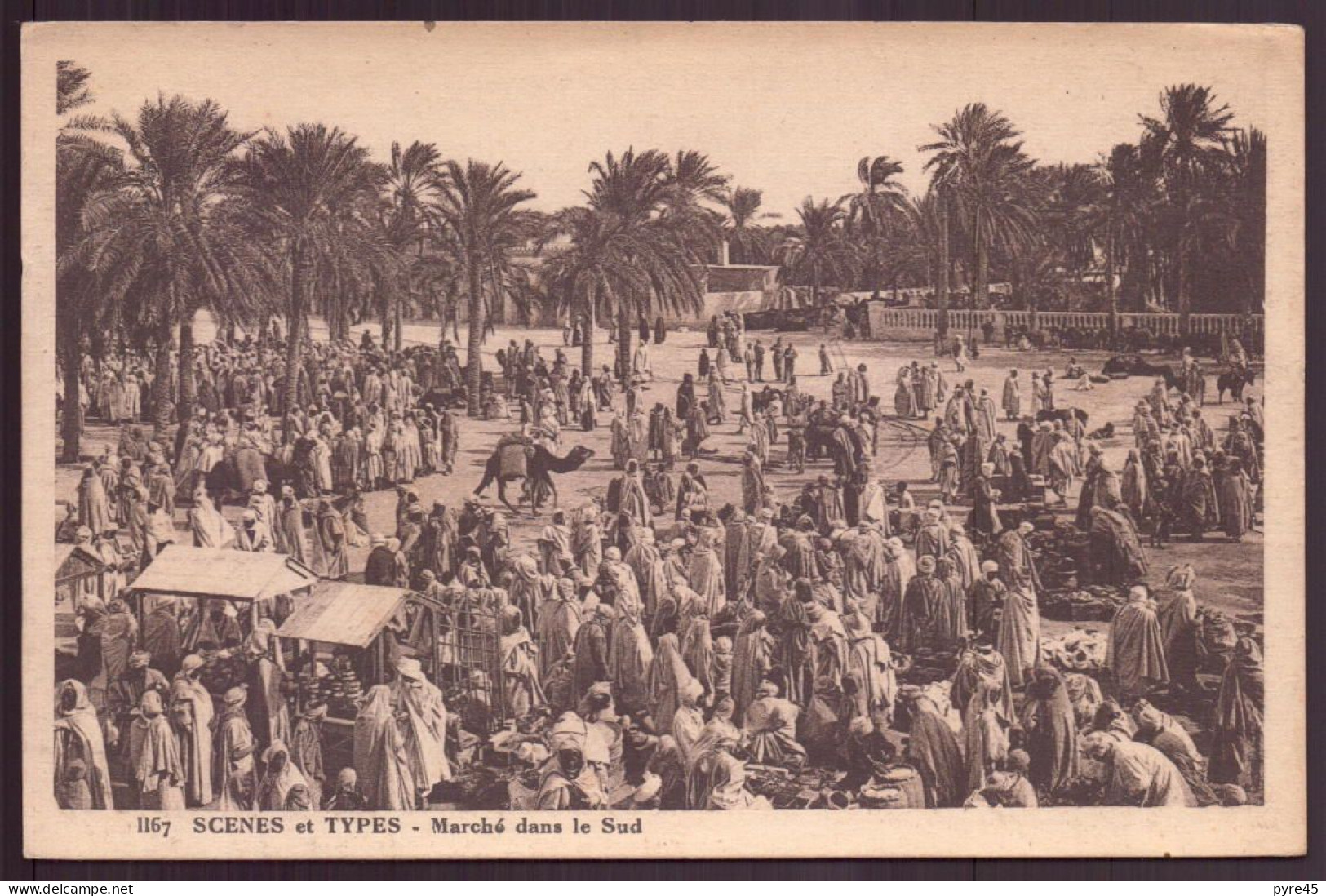 ALGERIE MARCHE DANS LE SUD - Scenes