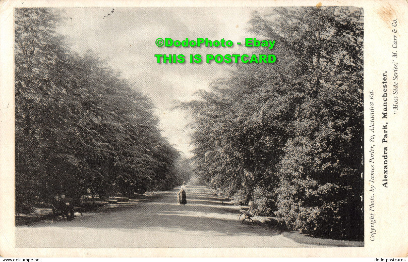 R393916 James Porter. Alexandra Park. Manchester. Moss Side Series. M. Carr - World