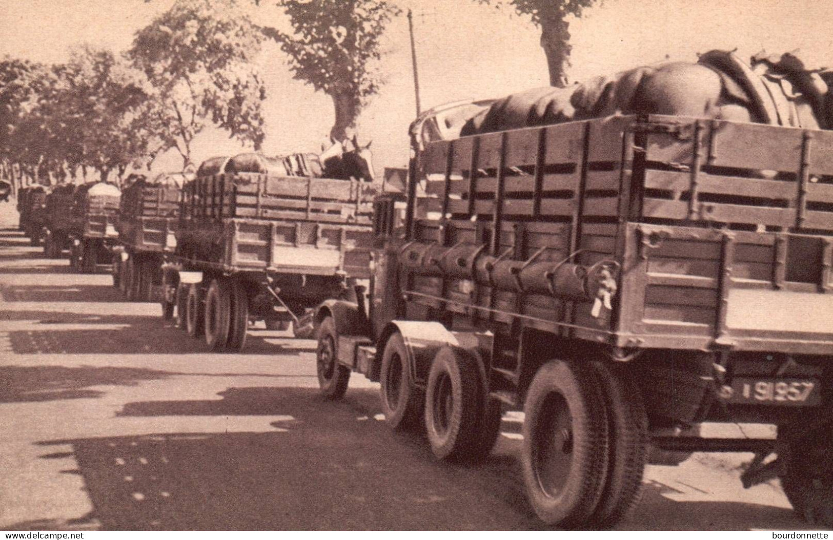 Militaria - Train Des équipages Militaires - Transport De Chevaux - Materiale