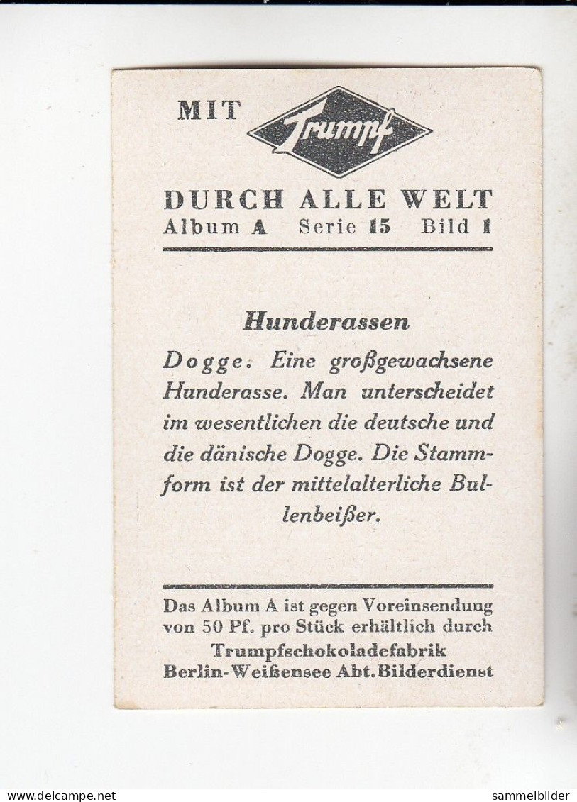 Mit Trumpf Durch Alle Welt Hunderassen Dogge     A Serie 15 #1 Von 1933 - Andere Merken