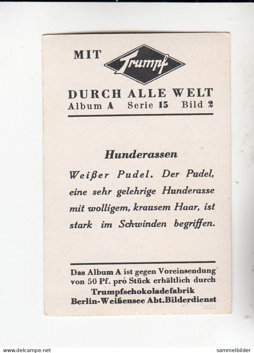 Mit Trumpf Durch Alle Welt Hunderassen Weißer Pudel     A Serie 15 #2 Von 1933 - Zigarettenmarken