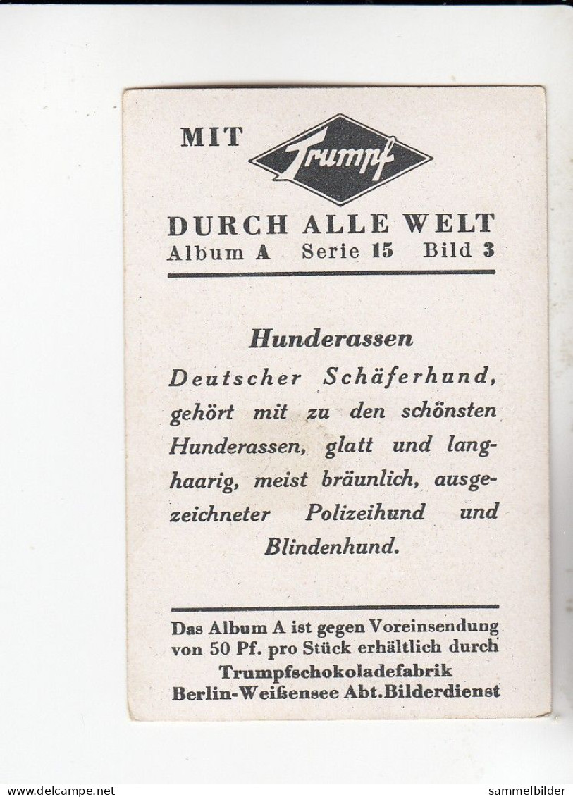 Mit Trumpf Durch Alle Welt Hunderassen Deutscher Schäferhund     A Serie 15 #3 Von 1933 - Sigarette (marche)
