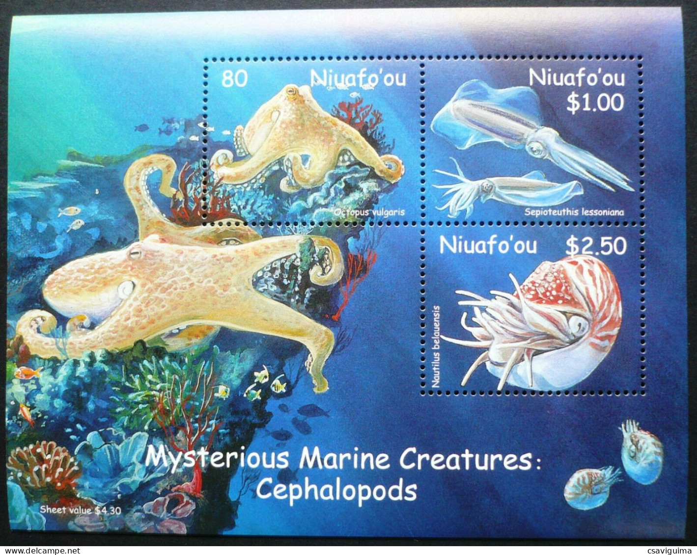 Niuafo'ou - 2002 - Cephalopods - Yv Bf 35 - Meereswelt