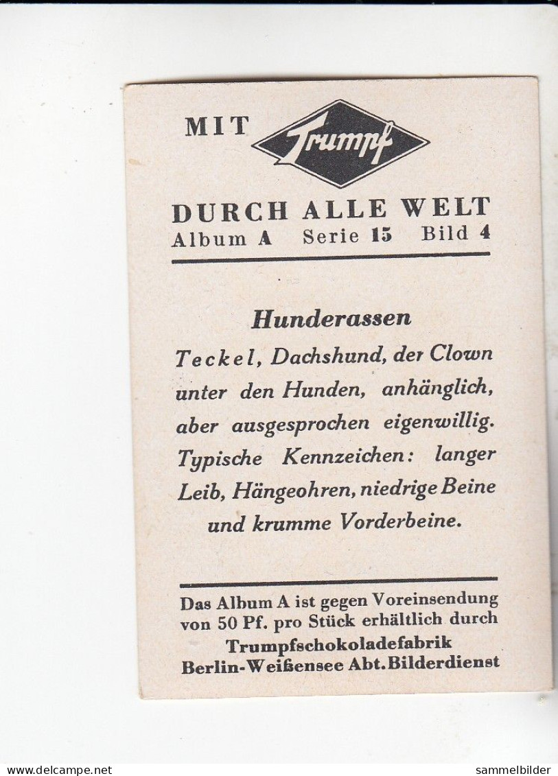 Mit Trumpf Durch Alle Welt Hunderassen Teckel Dachshund      A Serie 15 #4von 1933 - Zigarettenmarken