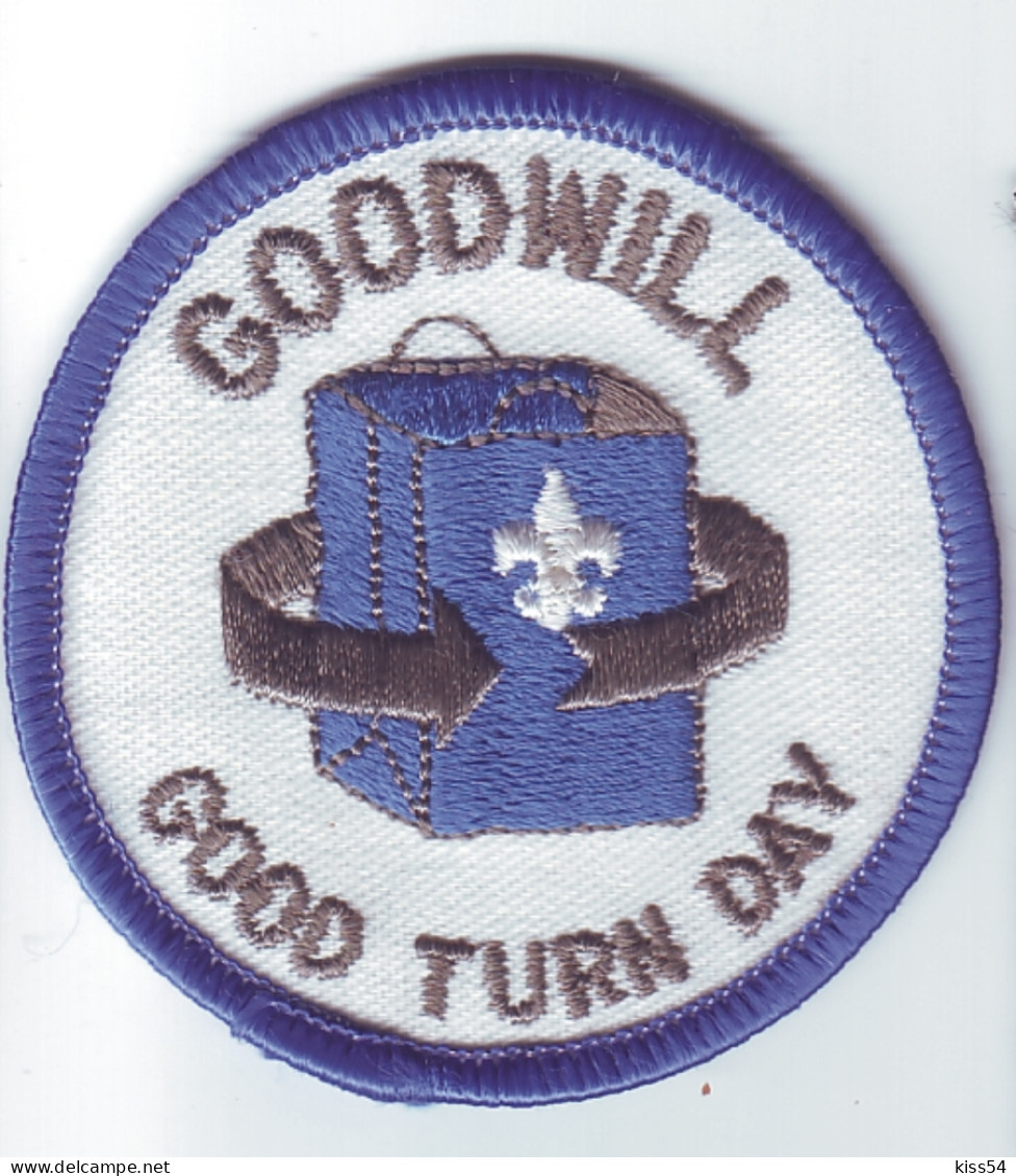 B 35 - 9 USA Scout Badge - Padvinderij