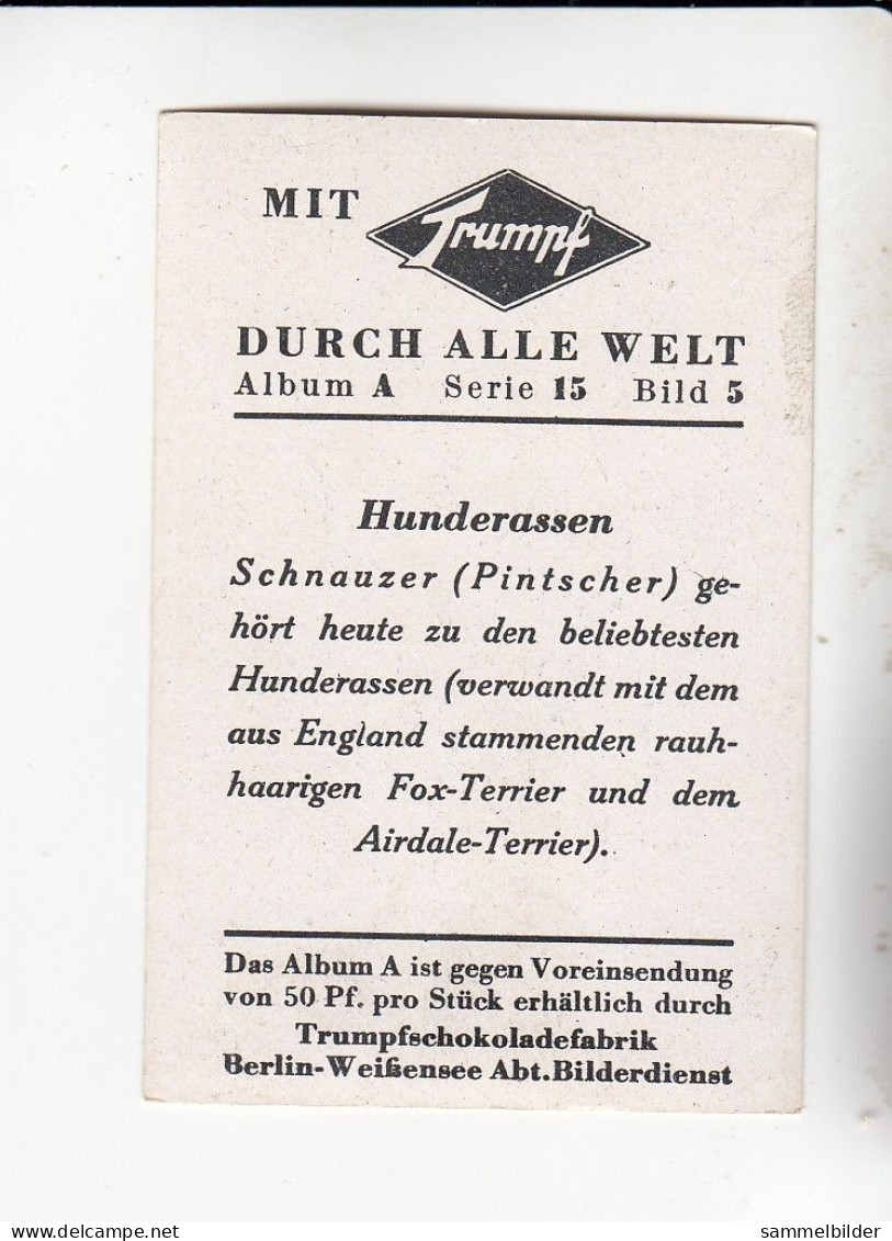 Mit Trumpf Durch Alle Welt Hunderassen Schnauzer Pintscher     A Serie 15 #5 Von 1933 - Other Brands