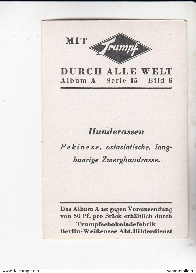 Mit Trumpf Durch Alle Welt Hunderassen Pekinese  A Serie 15 #6 Von 1933 - Autres Marques