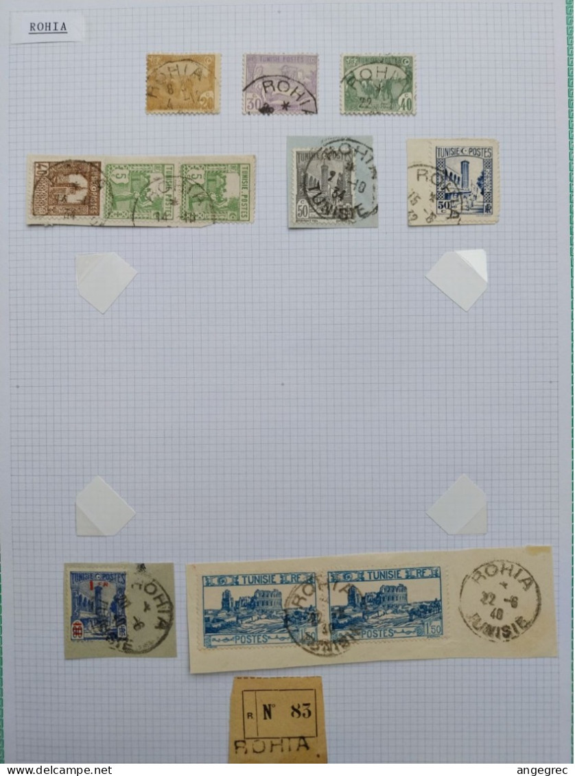 Tunisie Lot Timbre Oblitération Choisies    Rohia   Dont Fragment  Voir - Used Stamps