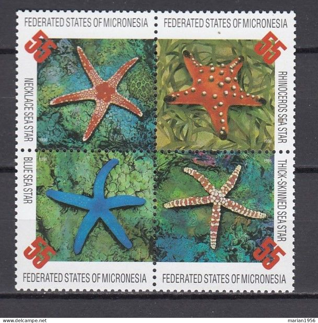 Micronesie - Vie Marine - SEA STAR - MNH - Vie Marine