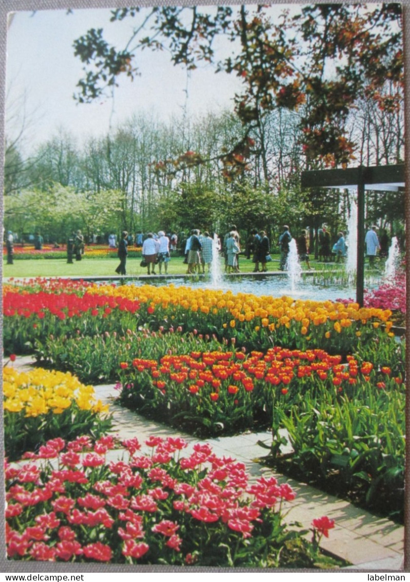 HOLLAND NETHERLAND LISSE KEUKENHOF FLOWER GARDENS POSTCARD CARTOLINA ANSICHTSKARTE CARTE POSTALE POSTKARTE CARD KARTE - Lisse