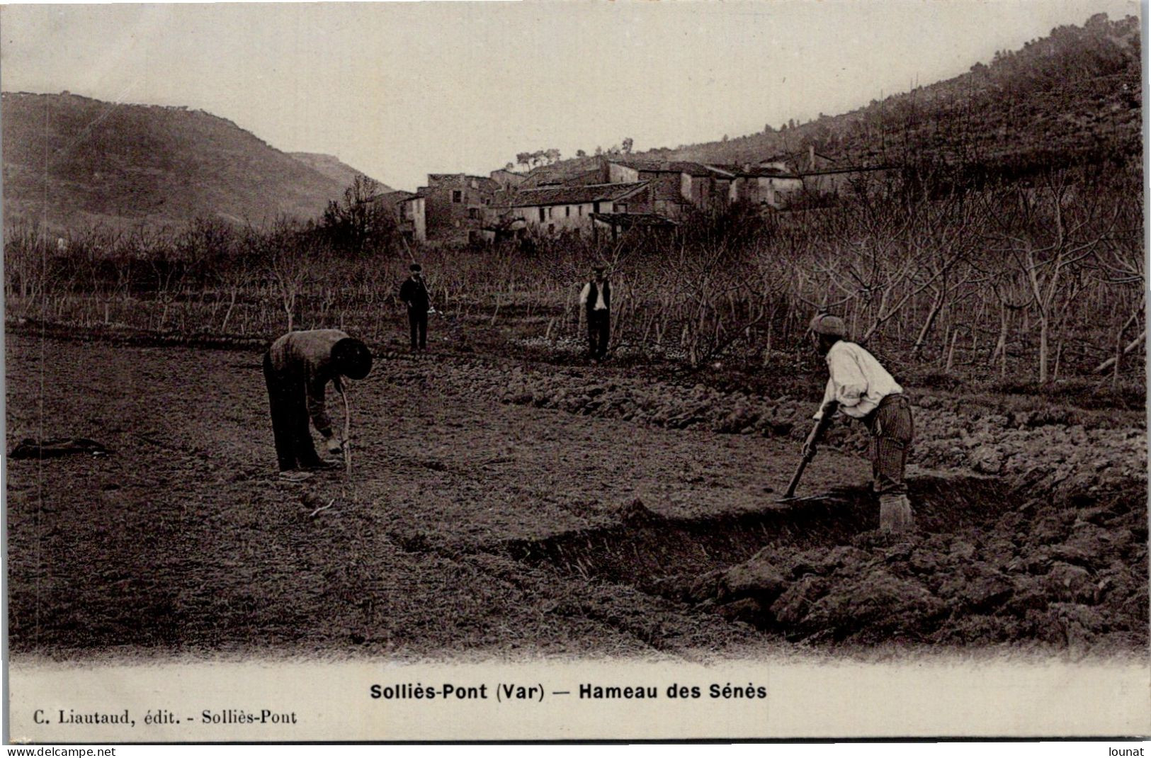 83 SOLLIES Pont - Hameau Des Sénès - Agriculture - Sollies Pont