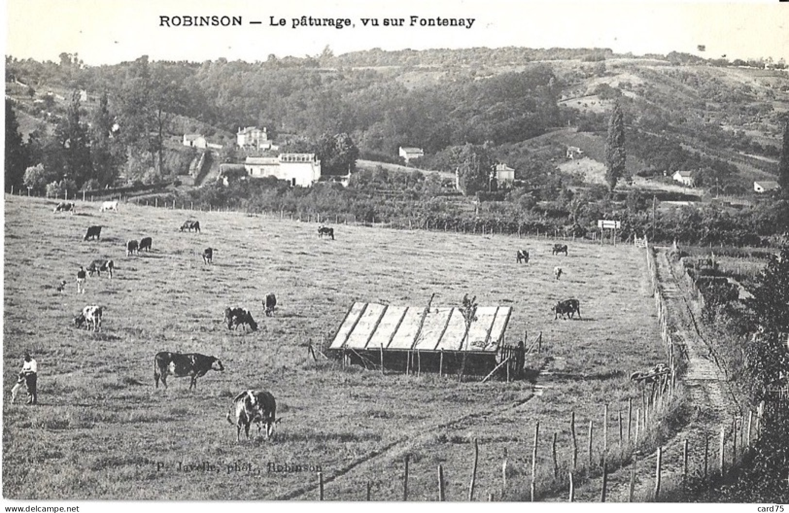 Robinson - Le Pâturage, Vu Sur Fontenay - Le Plessis Robinson