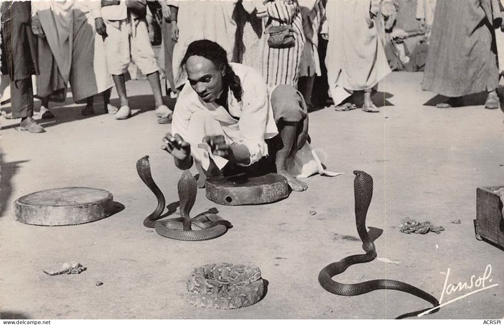 MAROC SCENES ET TYPES Charmeur De Serpents 27(scan Recto-verso) MA1349 - World