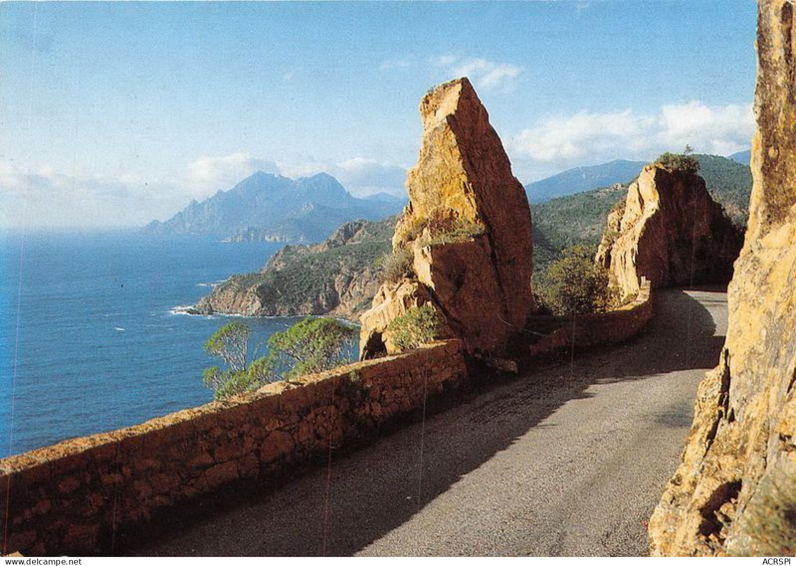 Sur La Route De CALVI 1(scan Recto-verso) MA1343 - Calvi