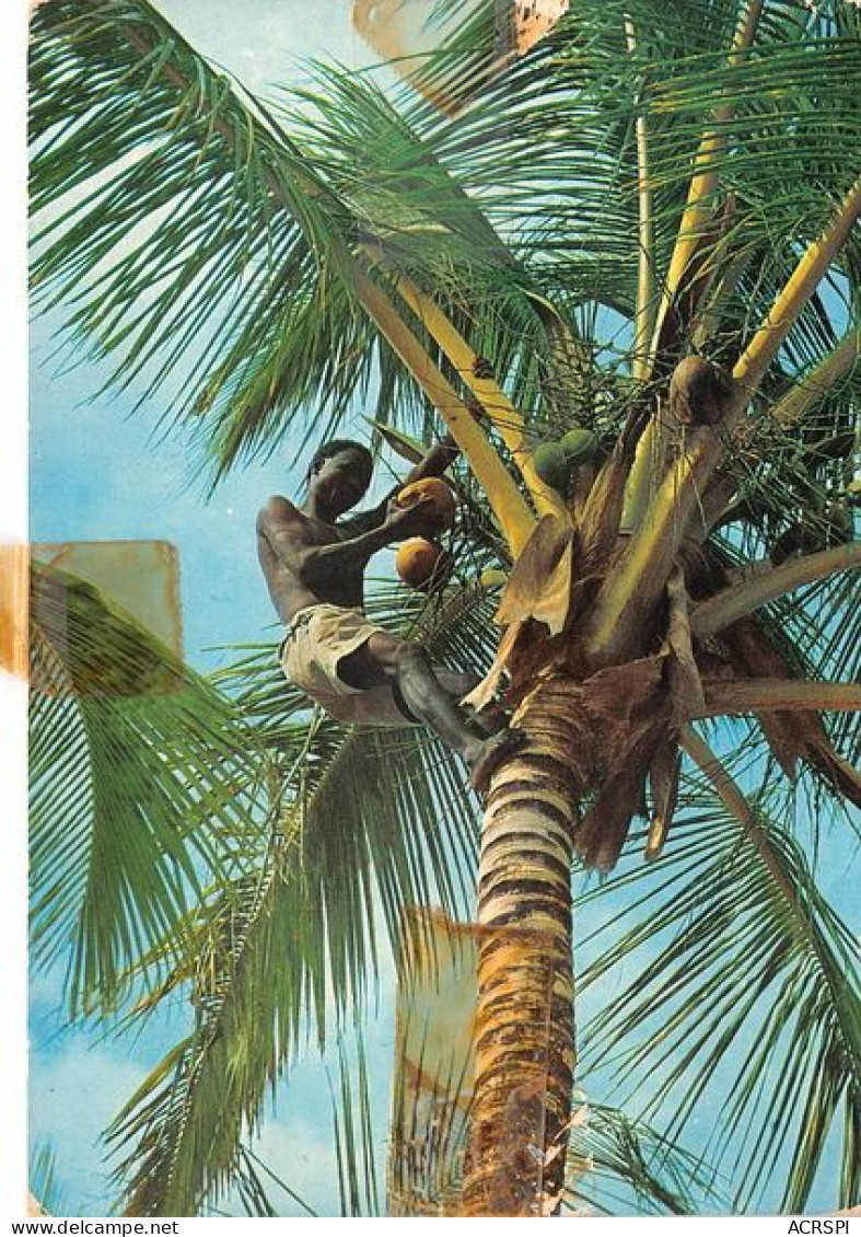 KENYA Palm Trees Coconut Picker 25(scan Recto-verso) MA1373 - Kenya