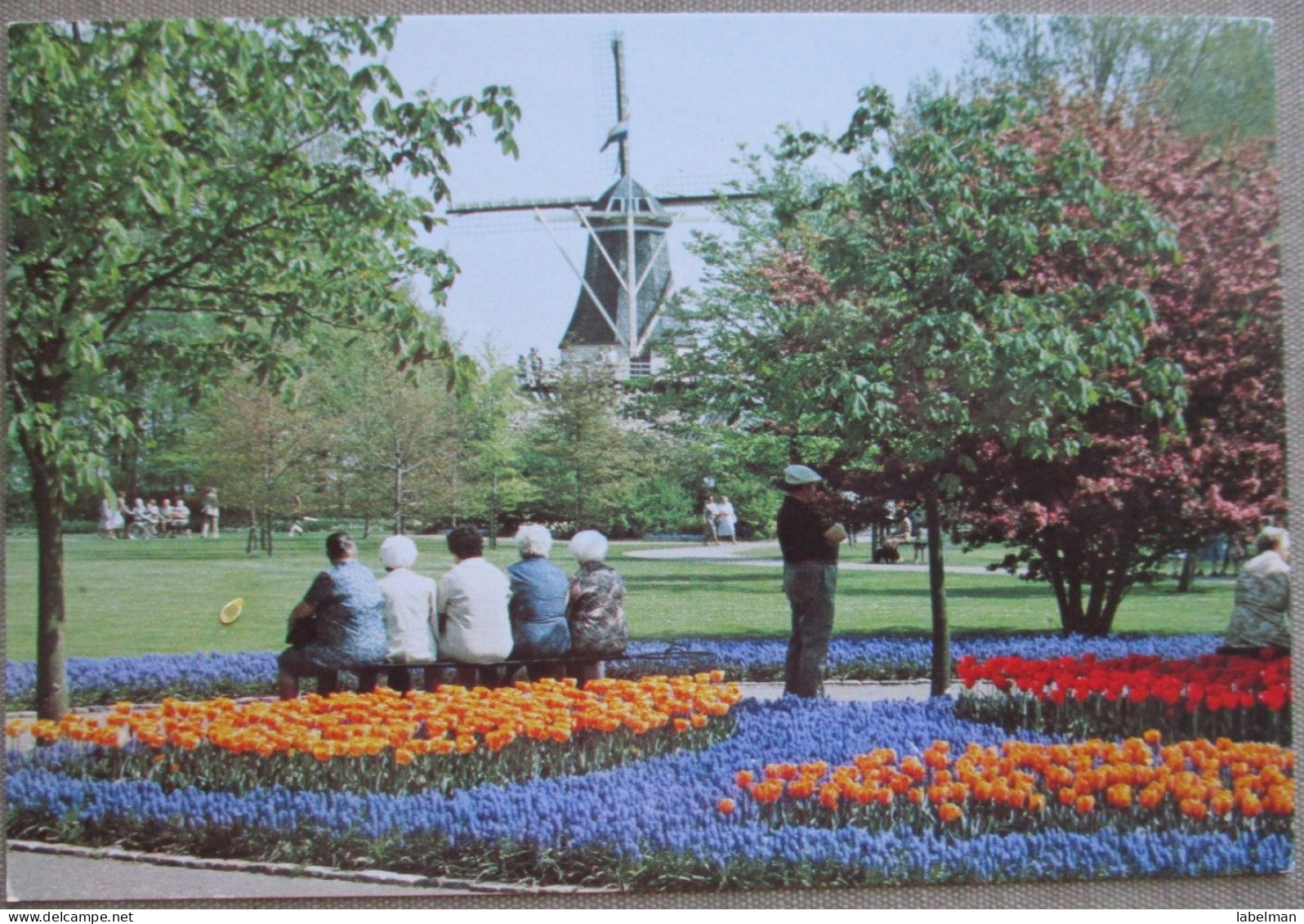 HOLLAND NETHERLAND LISSE KEUKENHOF FLOWER GARDENS POSTCARD CARTOLINA ANSICHTSKARTE CARTE POSTALE POSTKARTE CARD KARTE - Lisse