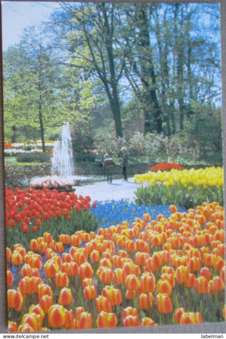 HOLLAND NETHERLAND LISSE KEUKENHOF FLOWER GARDENS POSTCARD CARTOLINA ANSICHTSKARTE CARTE POSTALE POSTKARTE CARD KARTE - Lisse