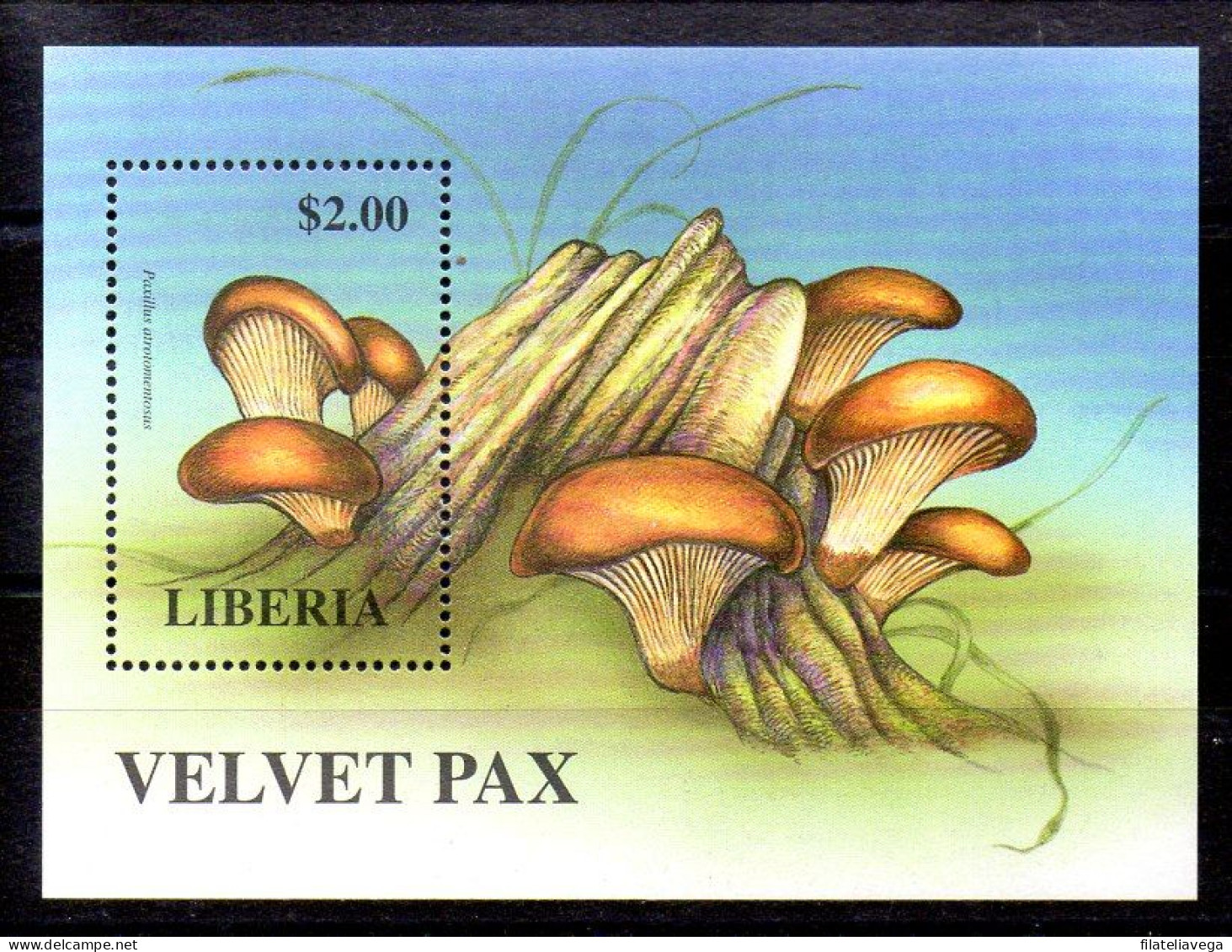 Liberia Hojas Bloque Nº Yvert 188 ** - Paddestoelen