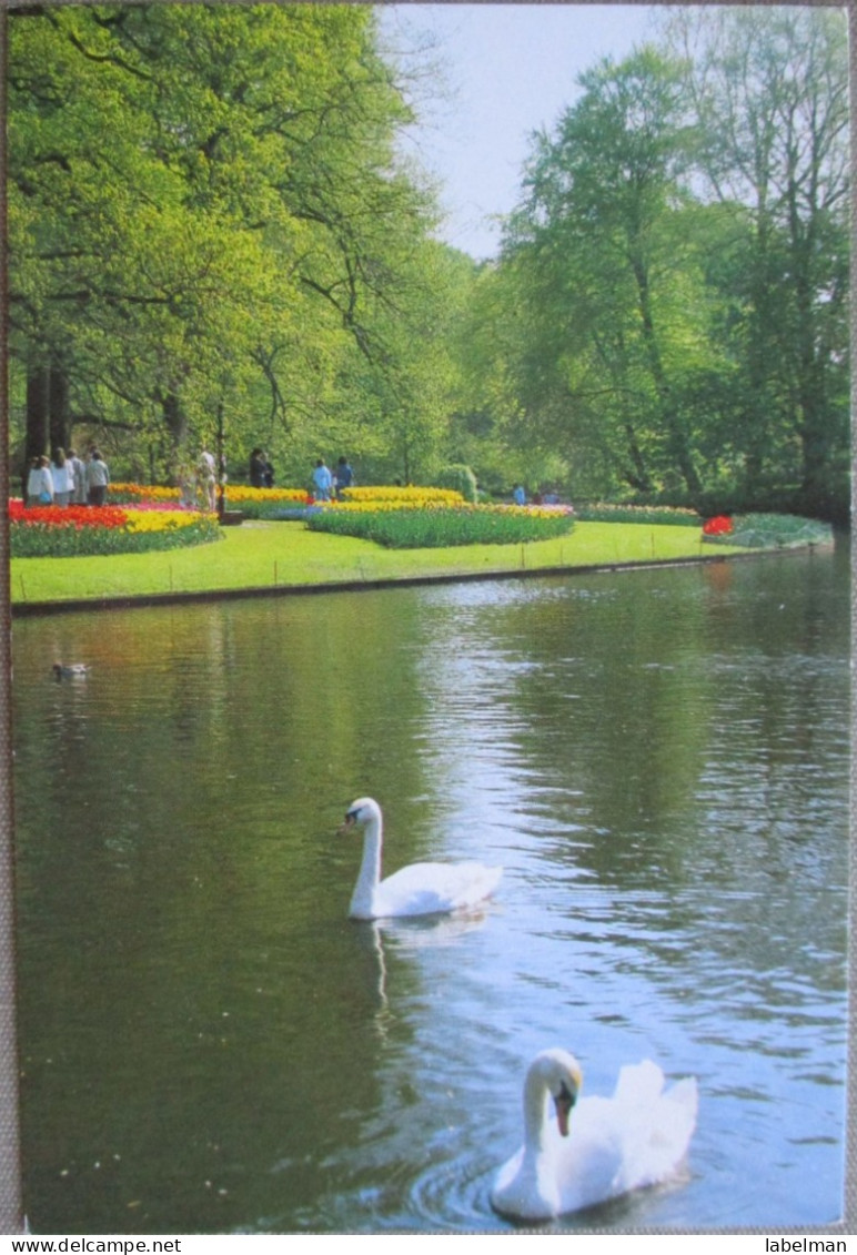 HOLLAND NETHERLAND LISSE KEUKENHOF FLOWER GARDENS POSTCARD CARTOLINA ANSICHTSKARTE CARTE POSTALE POSTKARTE CARD KARTE - Lisse