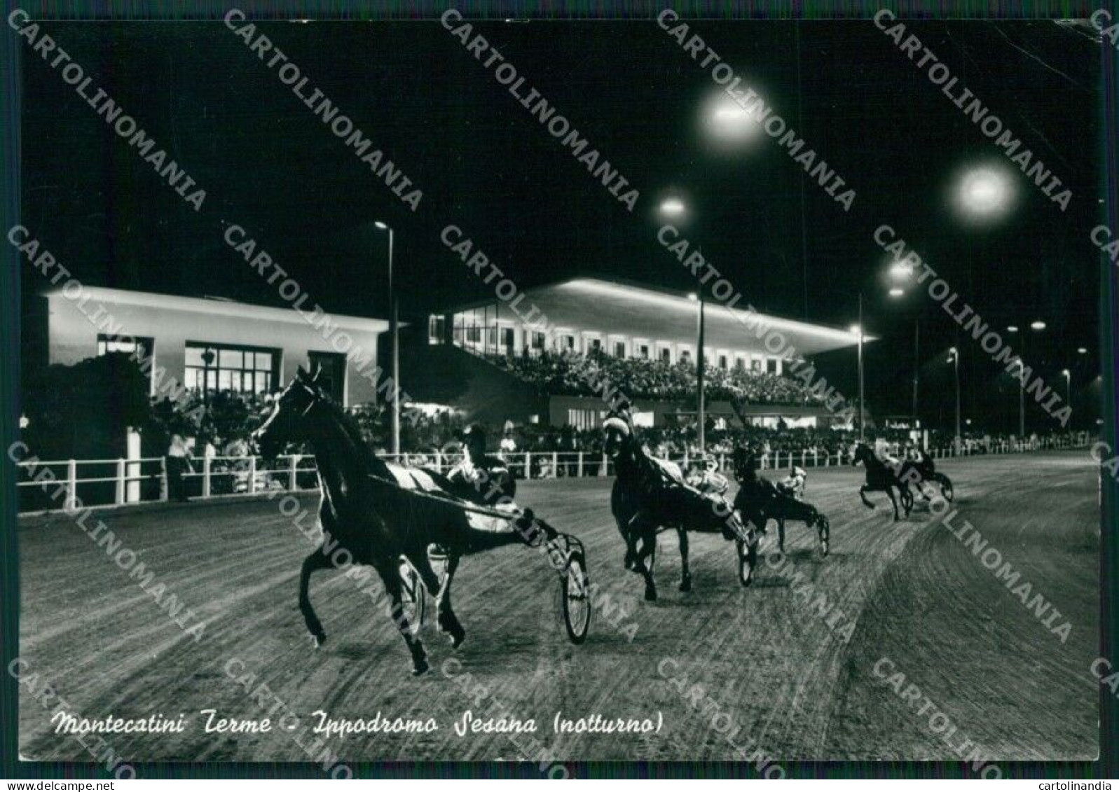 Pistoia Montecatini Terme Ippodromo PIEGHINE Foto FG Cartolina ZKM8103 - Pistoia