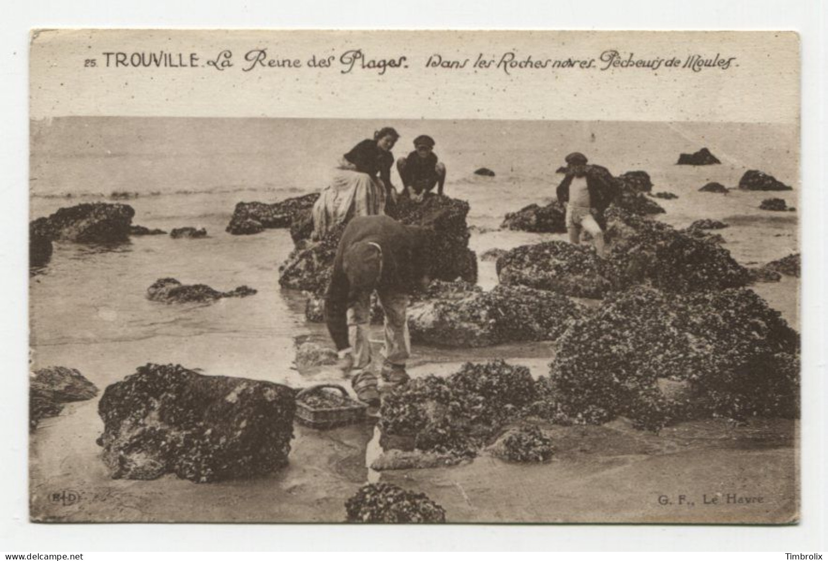 TROUVILLE (14) - La Reine Des Plages. Dans Les Roches Noires. Pêcheurs De Moules - Trouville