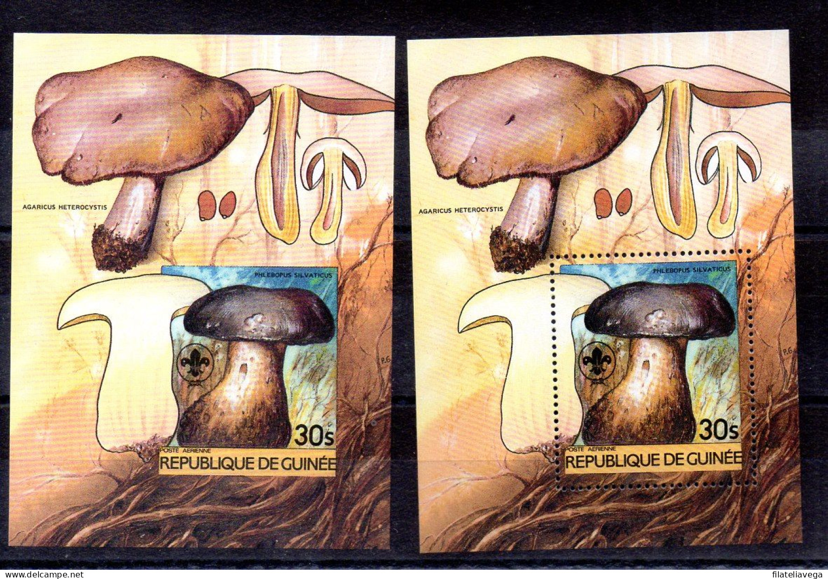 República De Guinea Hojas Bloque Nº Yvert 49 Dentado Y Sin Dentar ** - Mushrooms