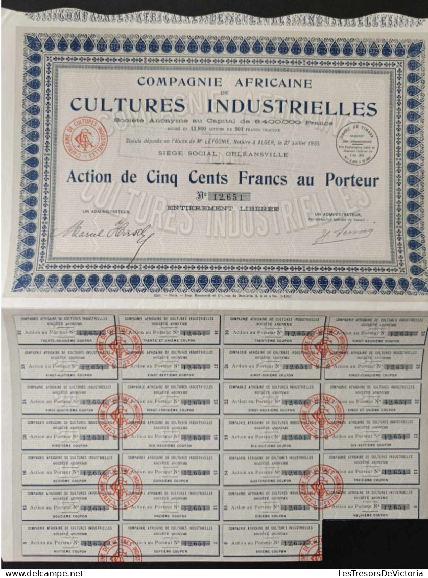 Action  De La Compagnie Africaine De Cultures Industrielles - Cinq Cent Francs Au Porteur - Industrial