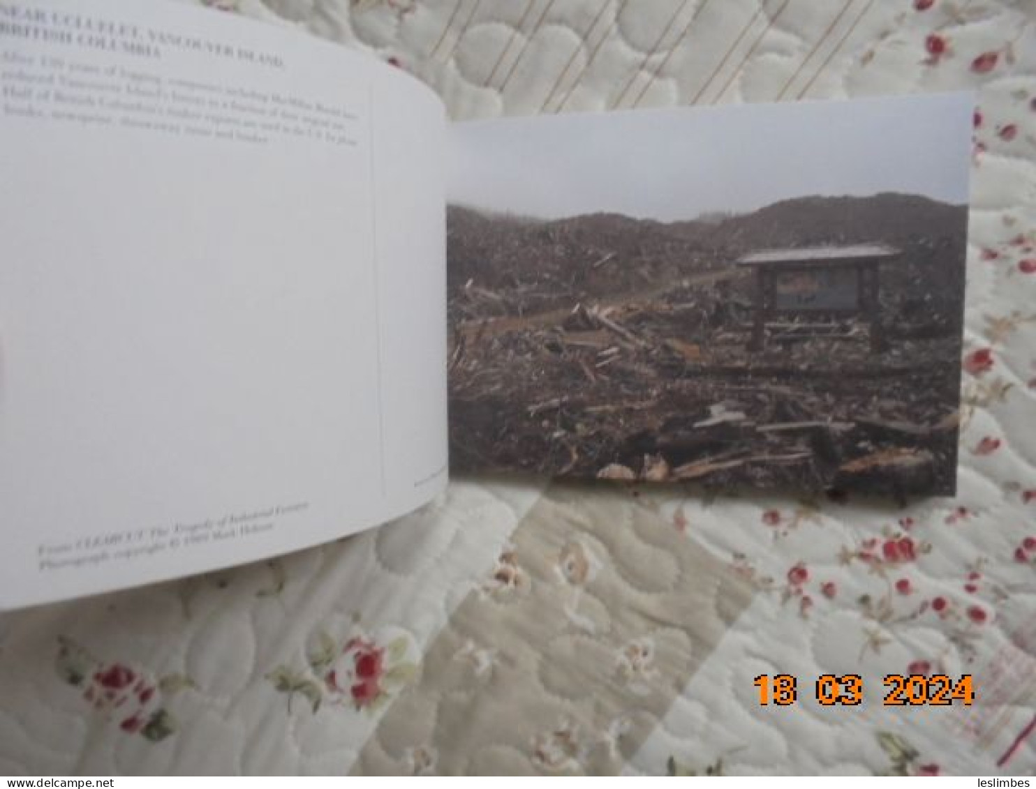 Carnet Complet De 30 Cartes Postales -  Clearcut : The Tragedy Of Industrial Forestry (postcard Book) - Autres & Non Classés