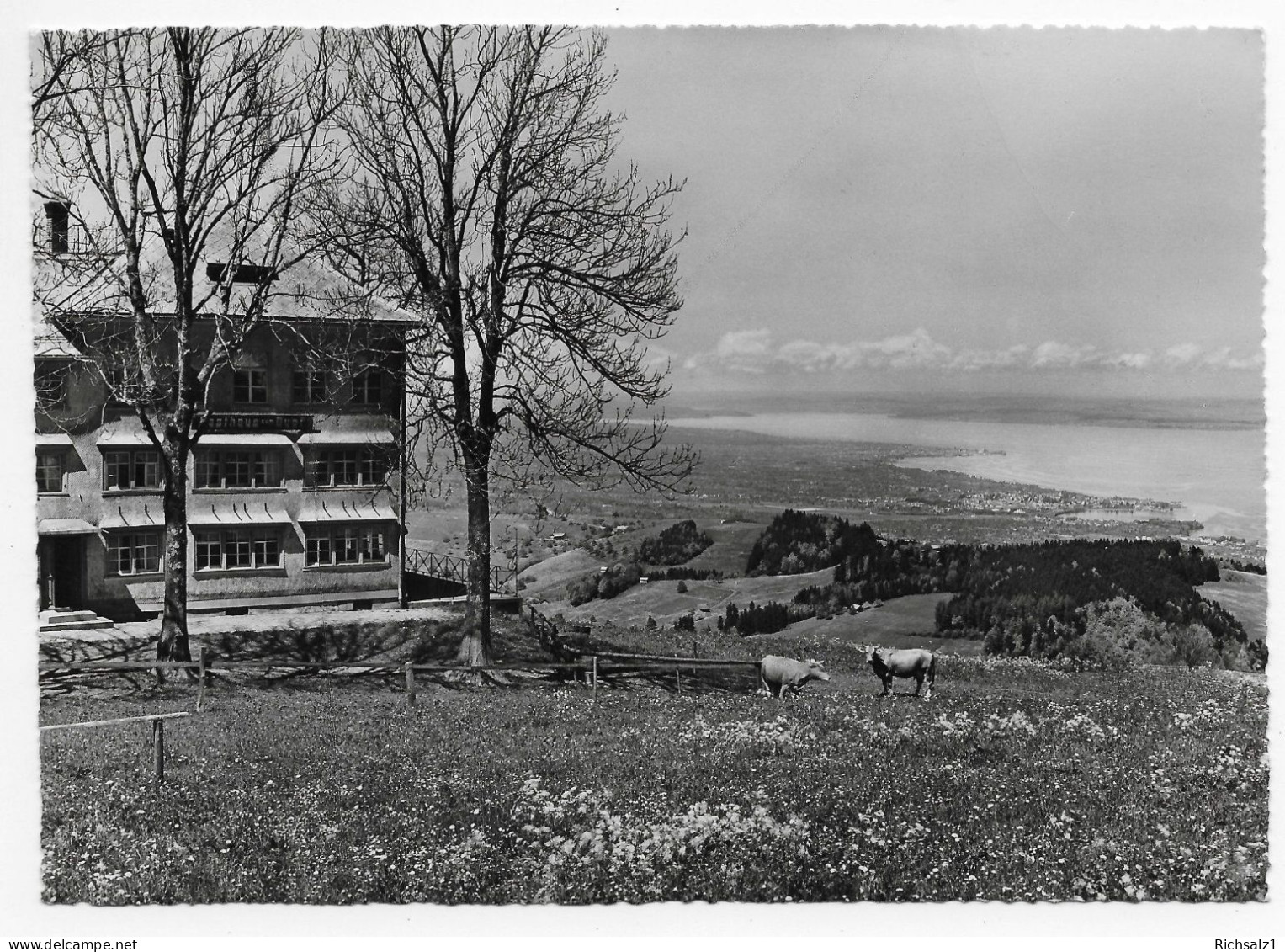 Heimat Appenzell: Gasthaus Zum Gupf Rehetobel - Rehetobel