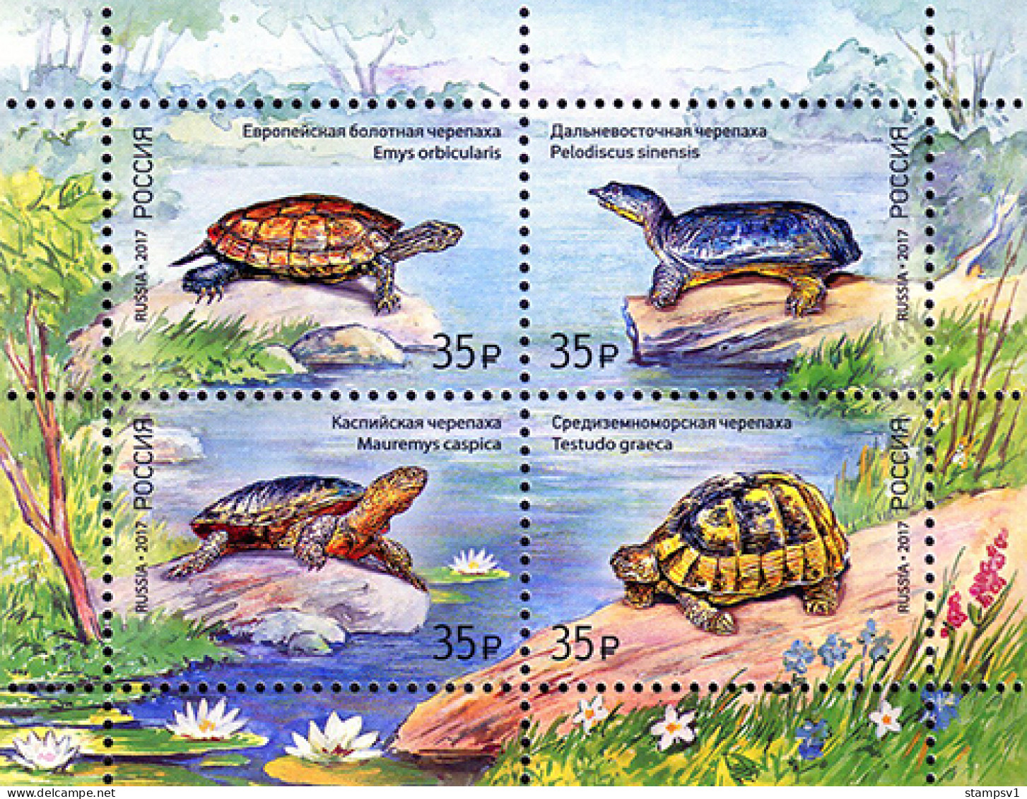 Russia 2017 Turtles. Bl 241 - Neufs