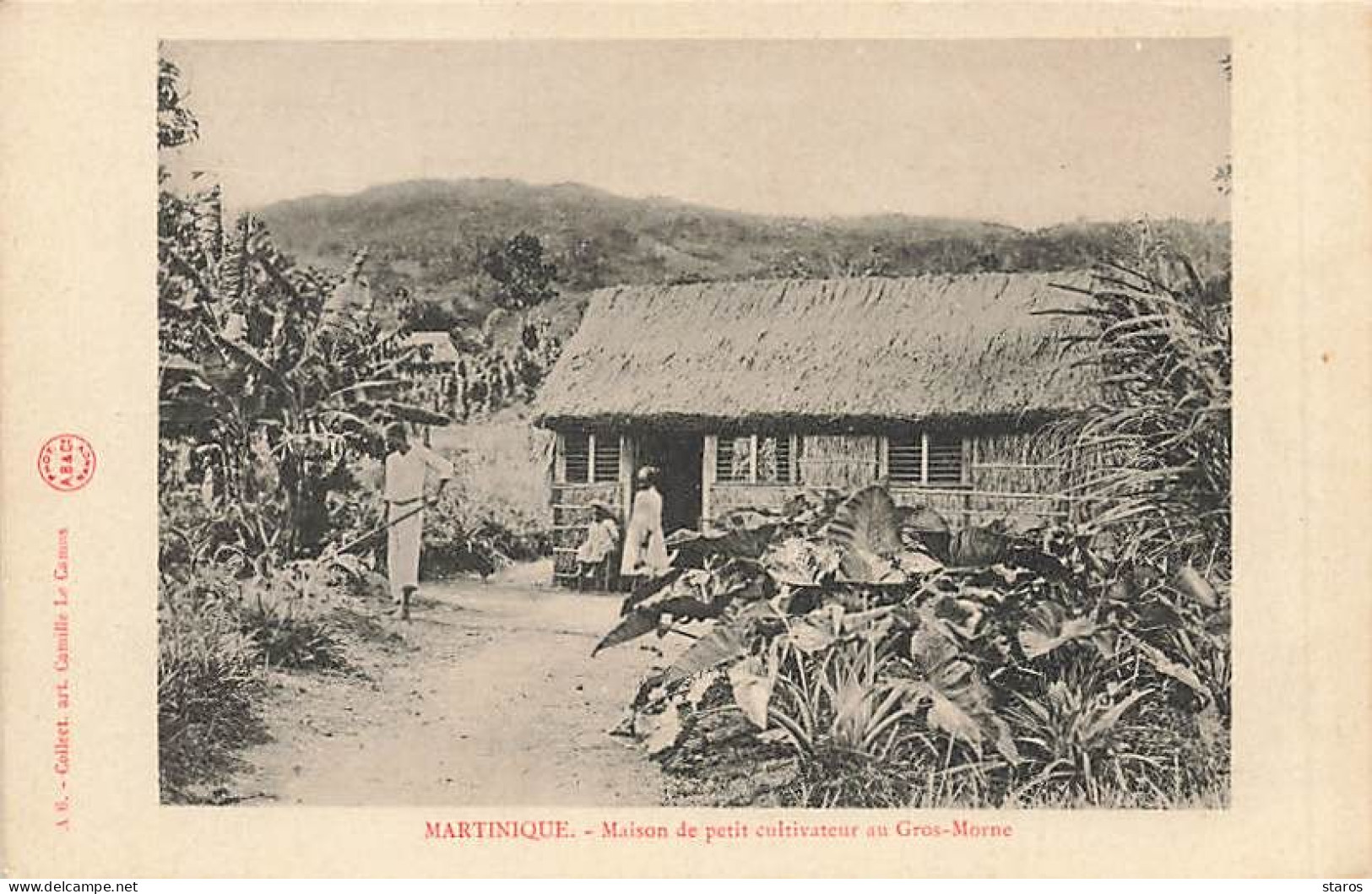 Martinique - Maison De Petit Cultivateur Au GROS-MORNE - A6 Collect. Art. Camille Le Camus - Autres & Non Classés