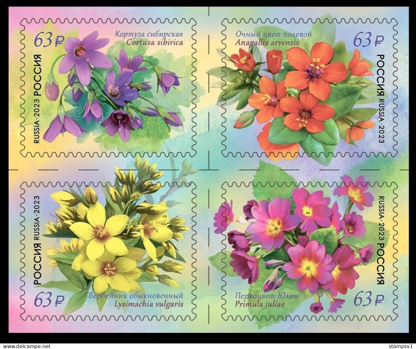 Russia 2023  Flora Of Russia. Primrose. - Unused Stamps