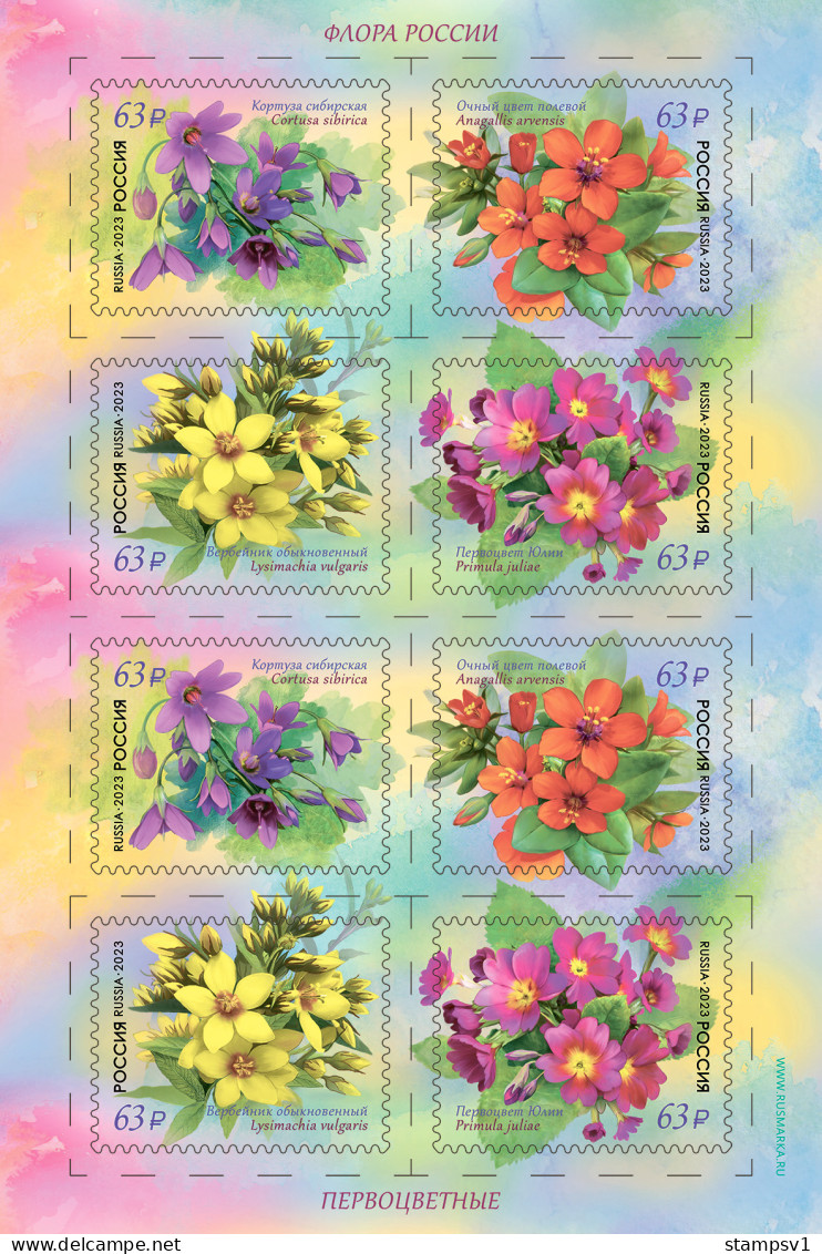 Russia 2023  Flora Of Russia. Primrose. Klb - Unused Stamps