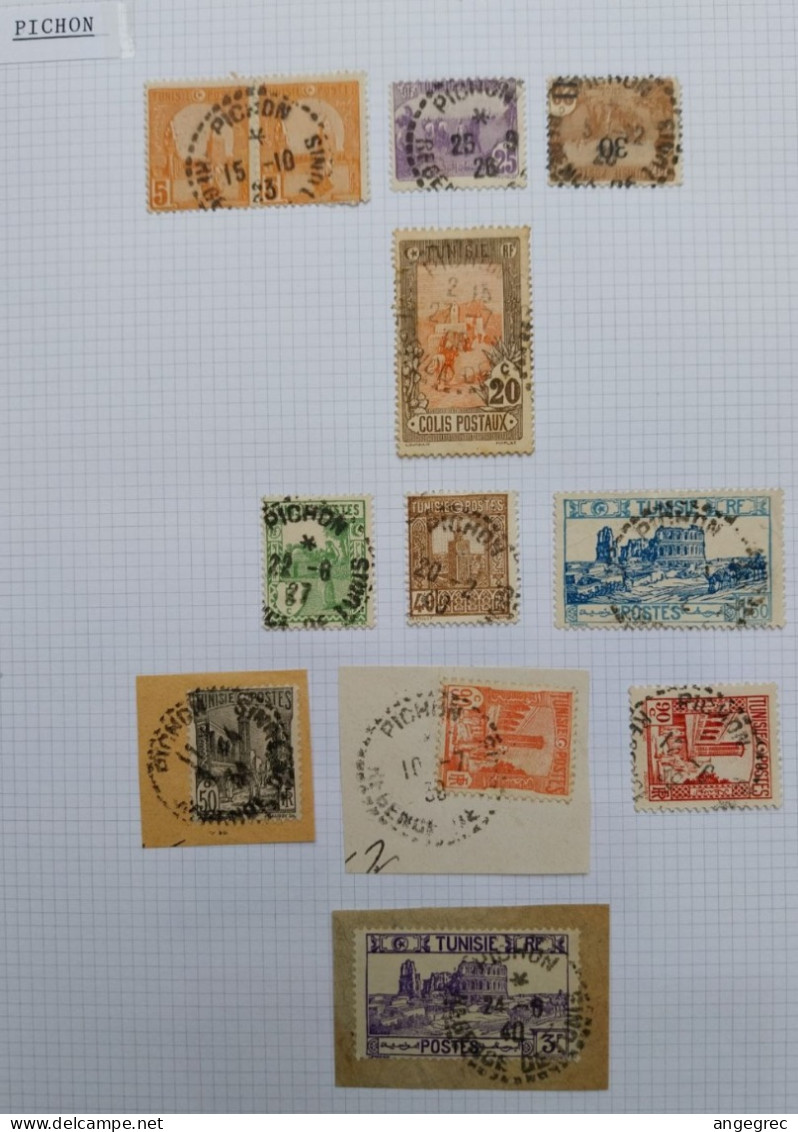 Tunisie Lot Timbre Oblitération Choisies Pichon Dont Colis Postaux Et Fragment Cachet Perlé à Voir - Used Stamps