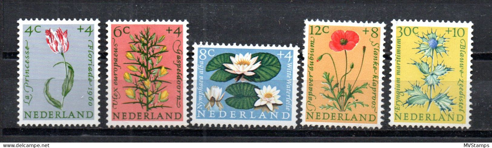 Netherlands 1960 Set Flowers/Blumen Stamps (Michel 746/50) MNH - Nuevos