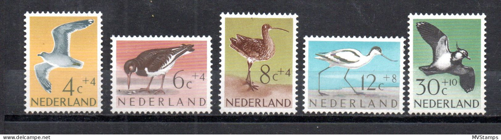 Netherlands 1961 Set Birds/Vogel Stamps (Michel 760/64) MNH - Unused Stamps