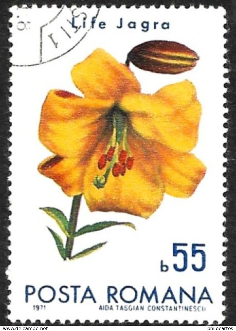 ROUMANIE  1971 -  YT  2616 -  Life Jagra -oblitéré - Used Stamps