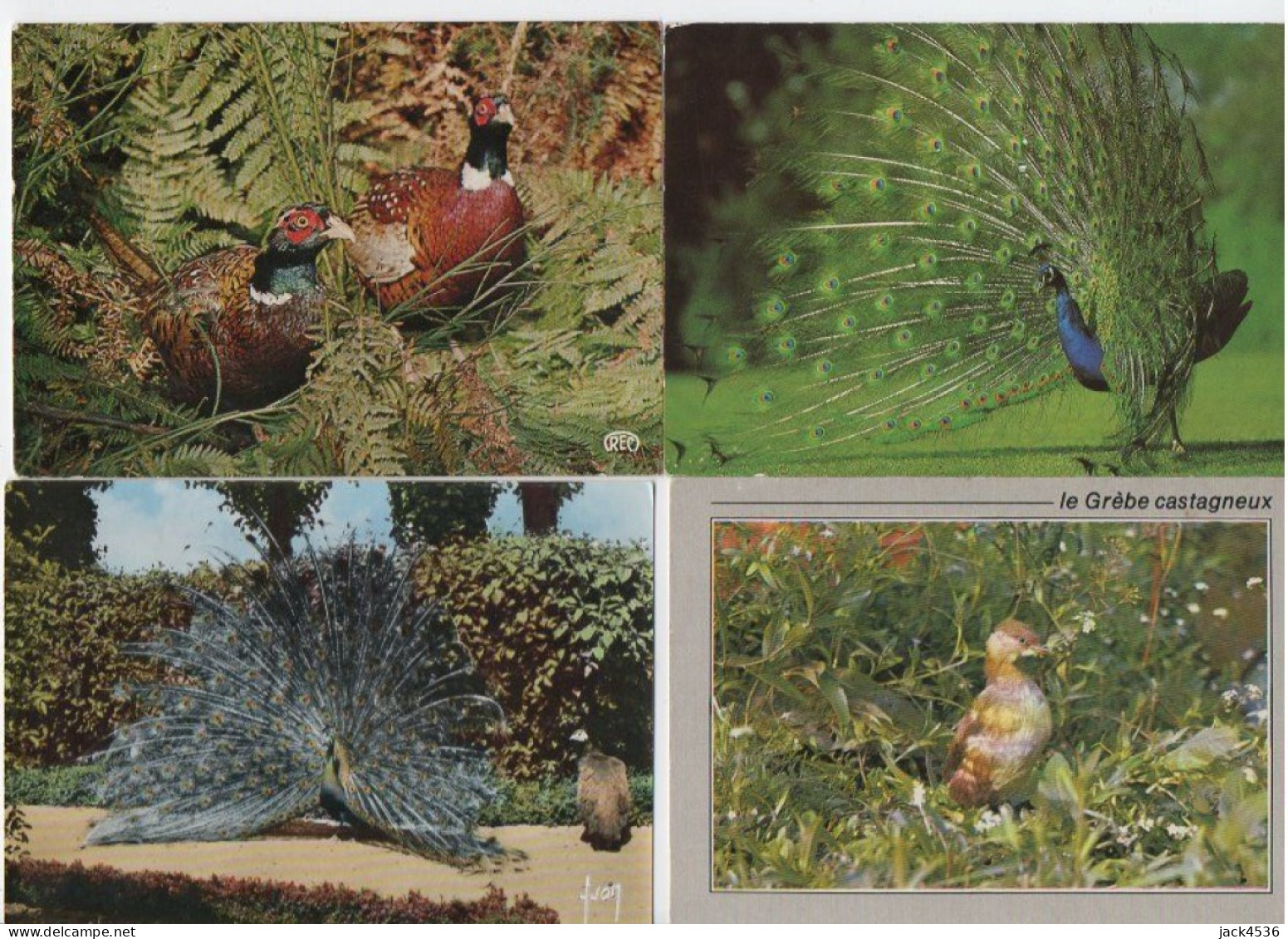 Lot De 80 Cartes Postales Modernes - OISEAUX - - 5 - 99 Postkaarten