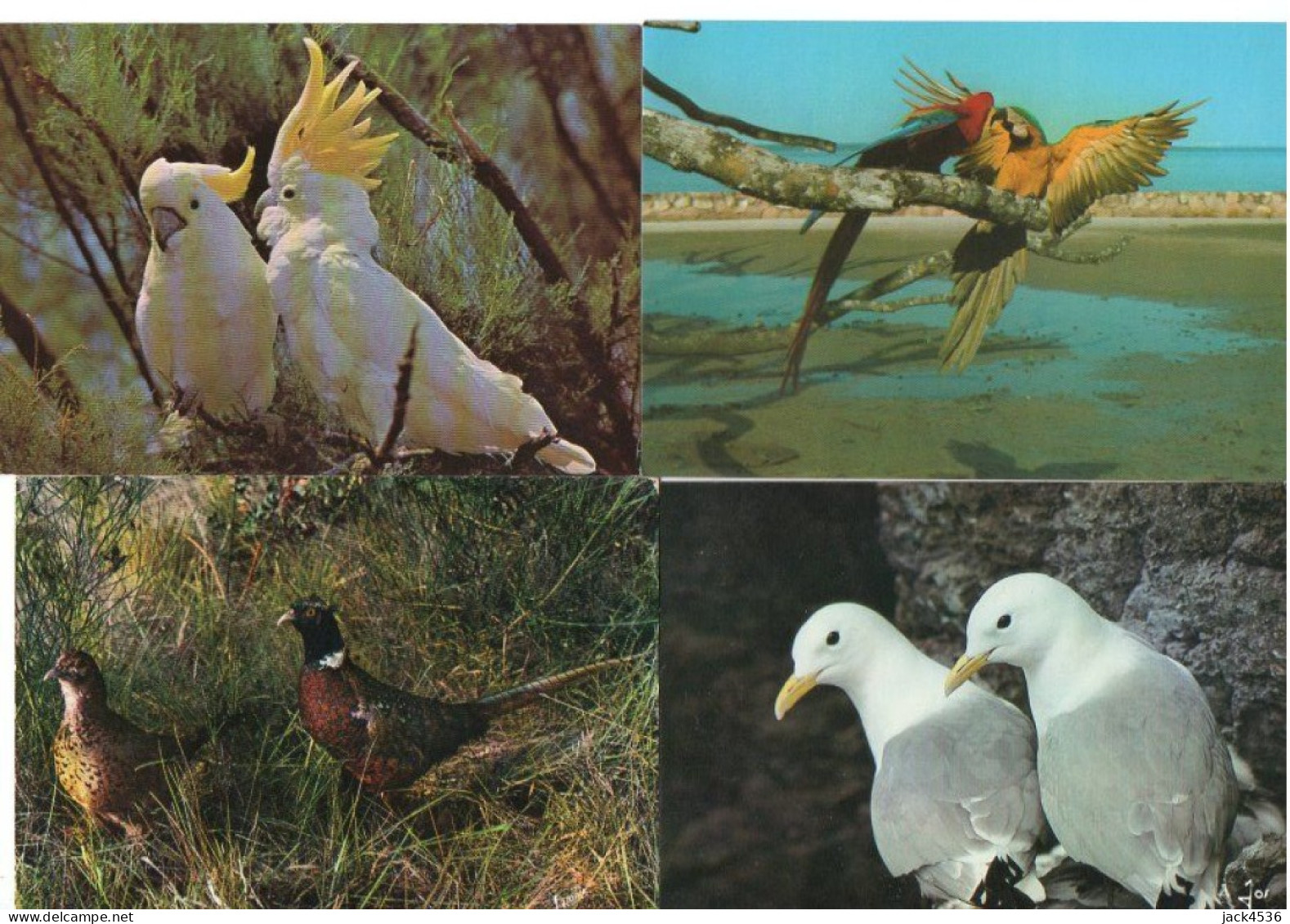 Lot de 80 cartes postales modernes - OISEAUX -