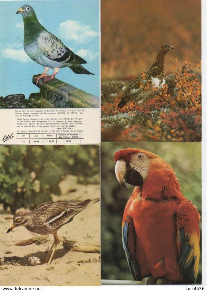 Lot de 80 cartes postales modernes - OISEAUX -