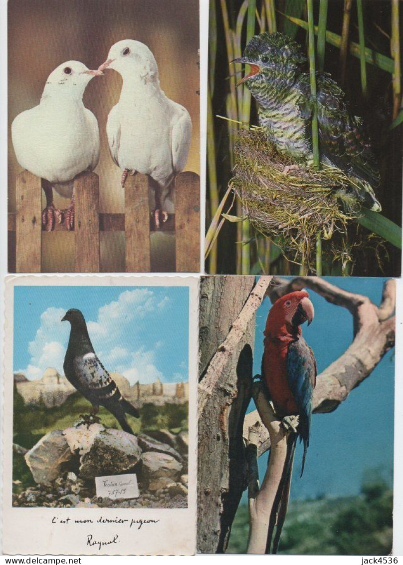 Lot de 80 cartes postales modernes - OISEAUX -