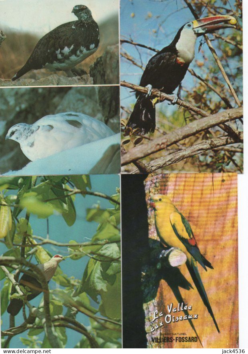 Lot de 80 cartes postales modernes - OISEAUX -