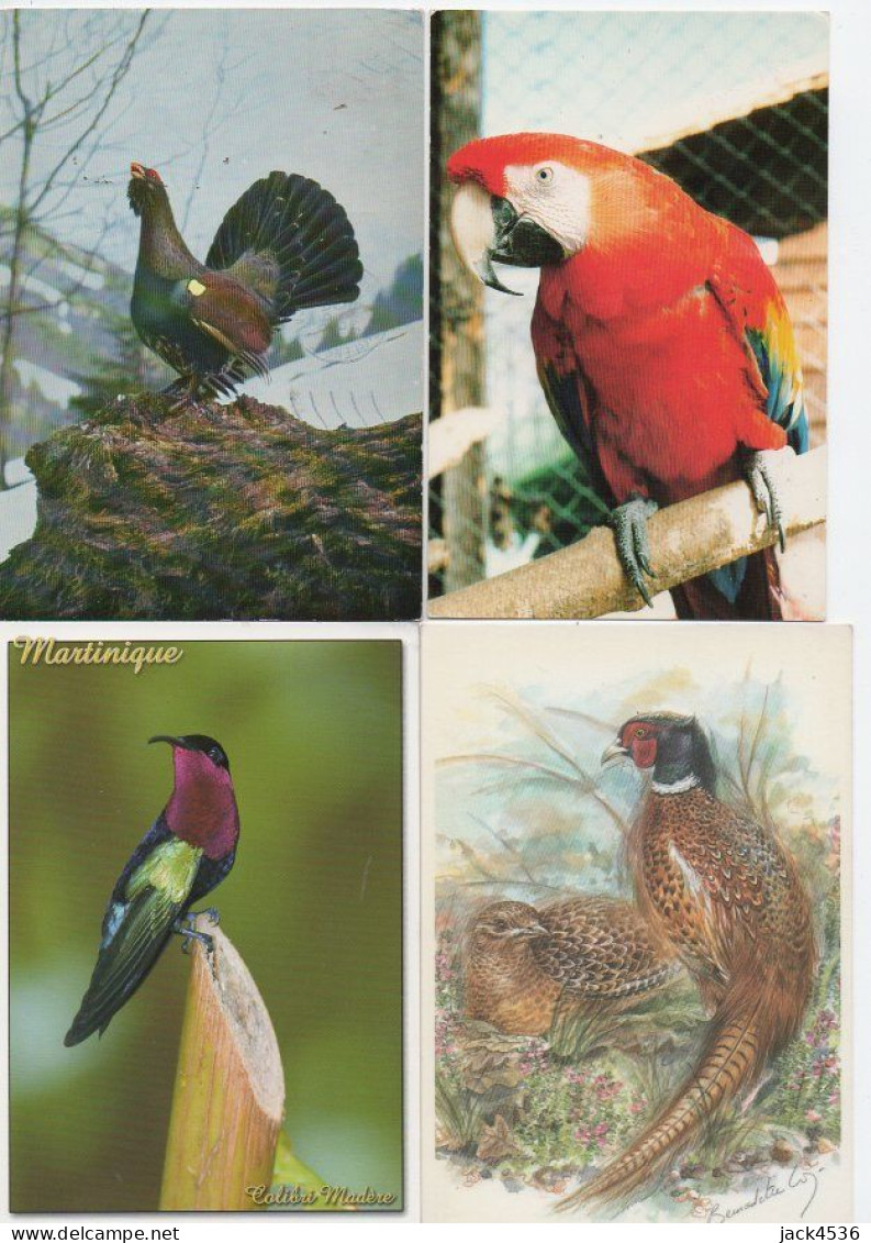 Lot de 80 cartes postales modernes - OISEAUX -