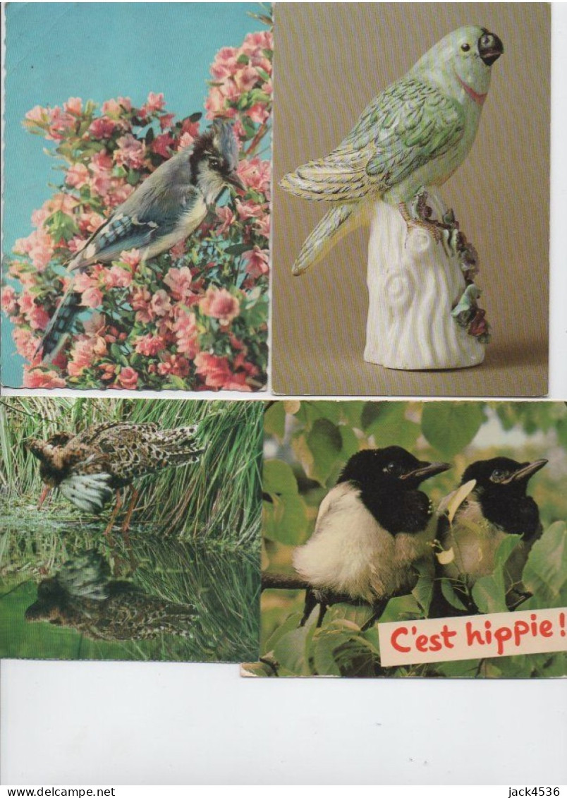 Lot de 80 cartes postales modernes - OISEAUX -