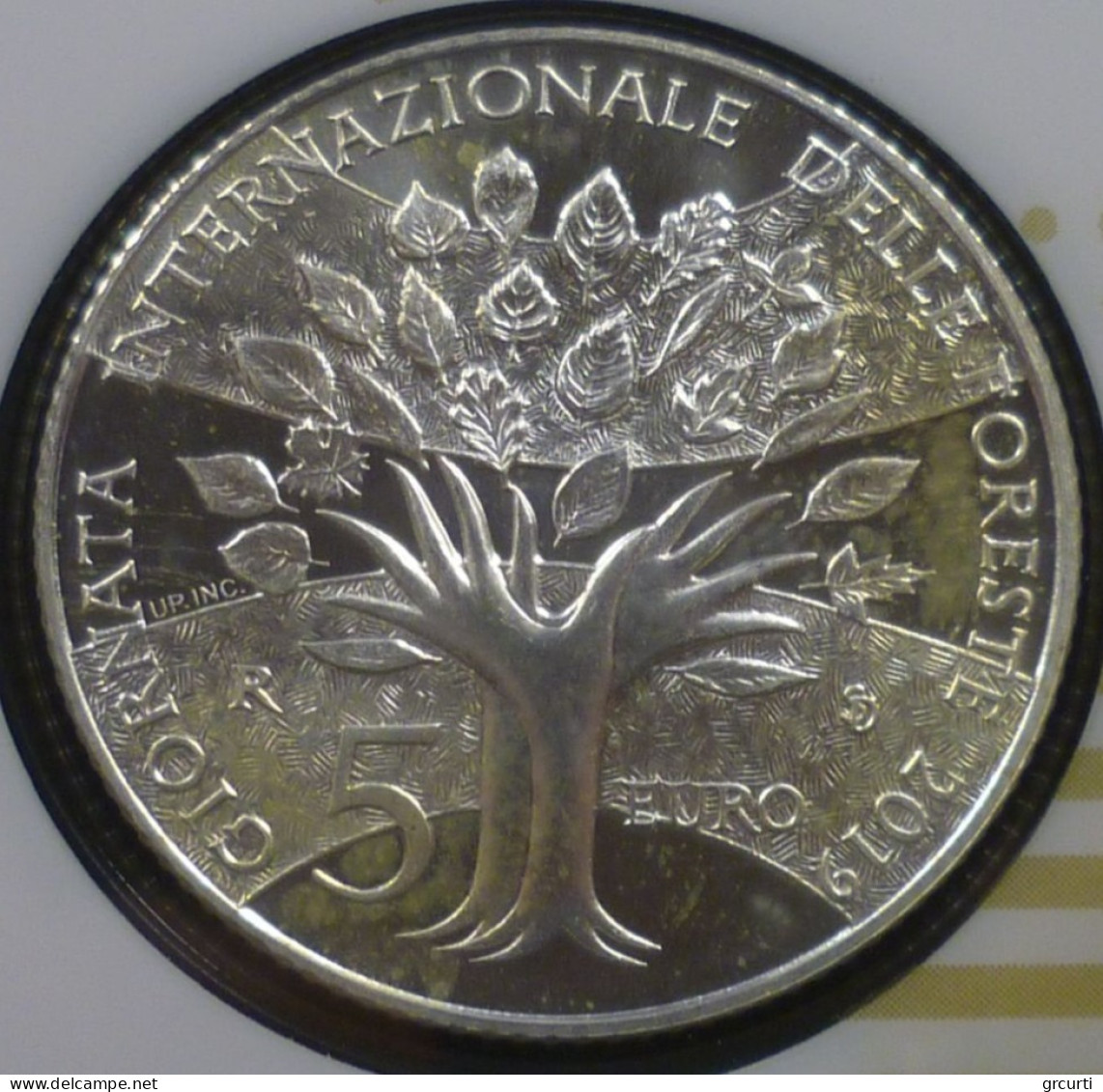 San Marino - 2019 - Serie Zecca - Con 5 € Argento "Anno Internazionale Delle Foreste" - San Marino