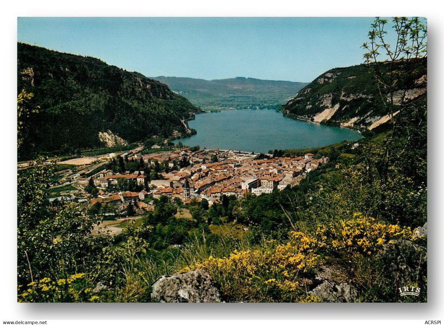 NANTUA  Vue Panoramique  21   (scan Recto-verso)MA1412Ter - Nantua