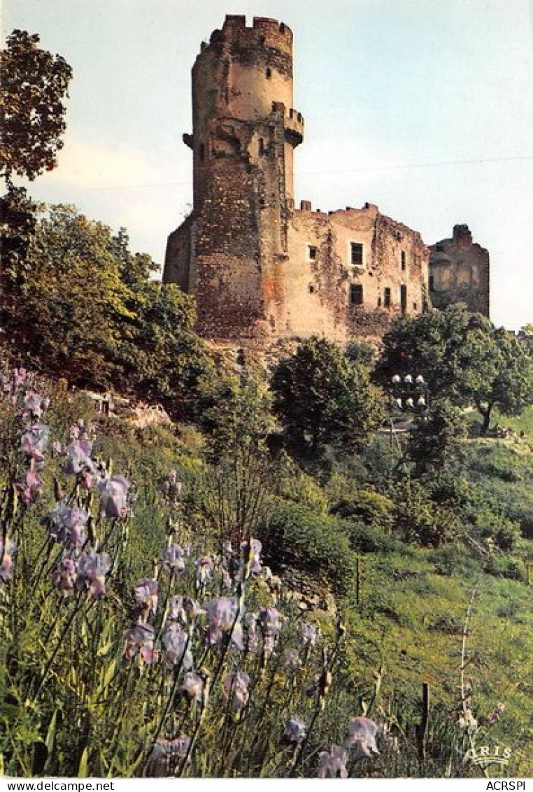 VOLVIC Env De Chatelguyon Chateau De Tournoel 3(scan Recto-verso) MA1482 - Volvic