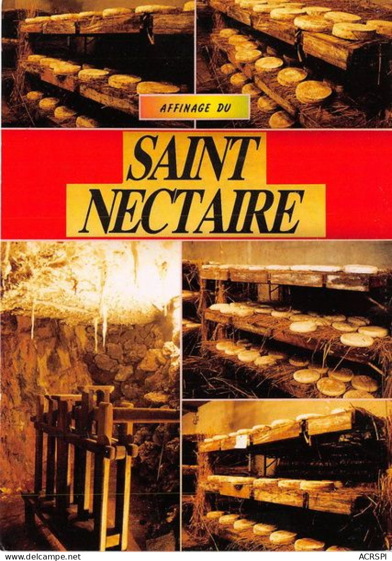 SAINT NECTAIRE Affinage Du Saint Nectaire 14(scan Recto-verso) MA1491 - Saint Nectaire